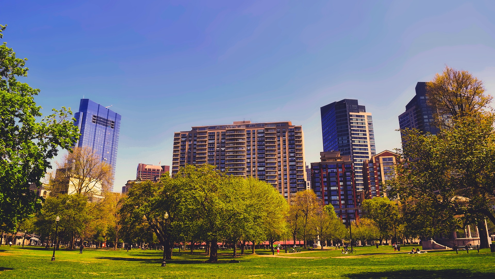 view of Boston from a park