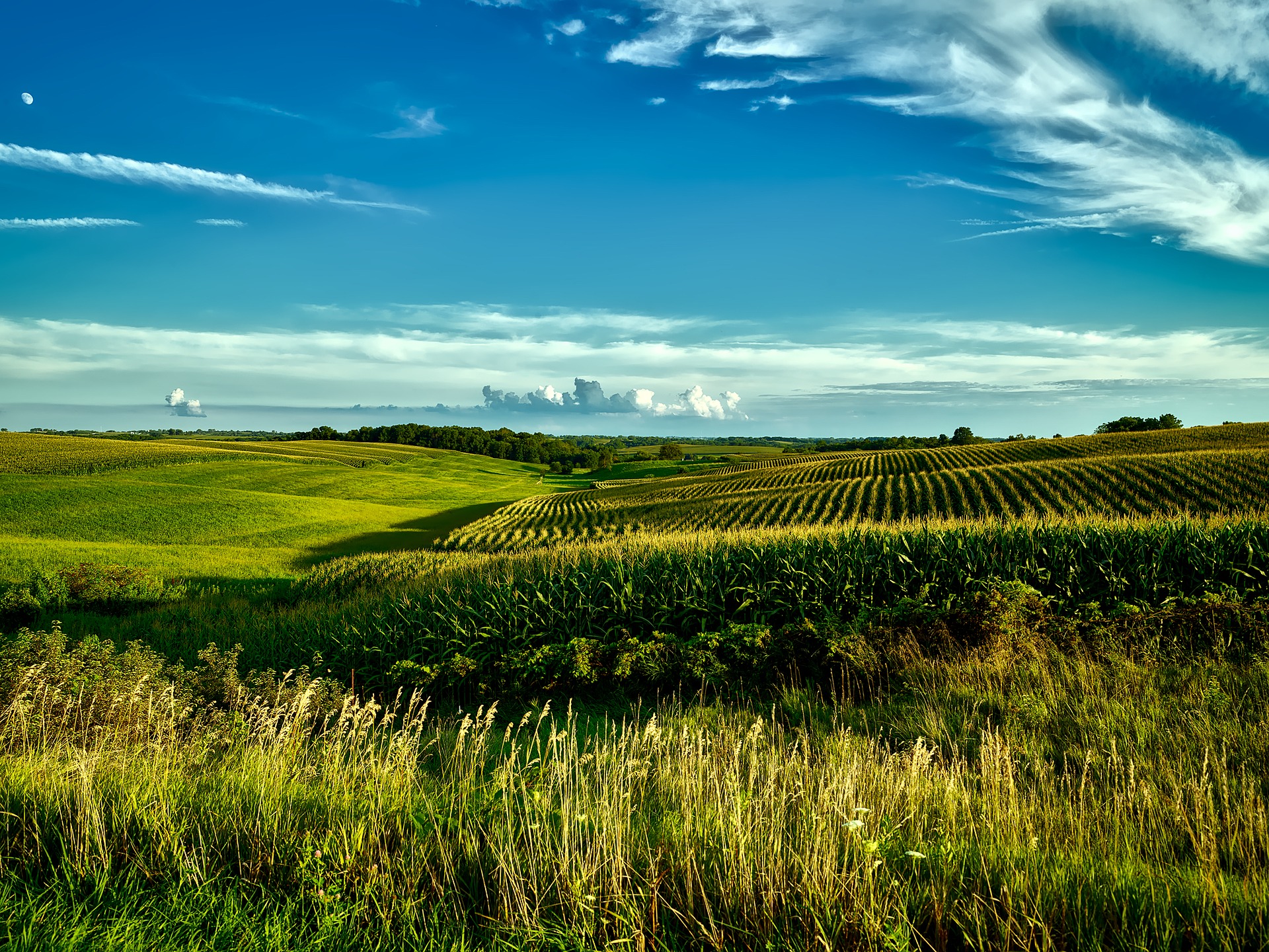 grass and farmland spanning into the horizon with a blue sky
