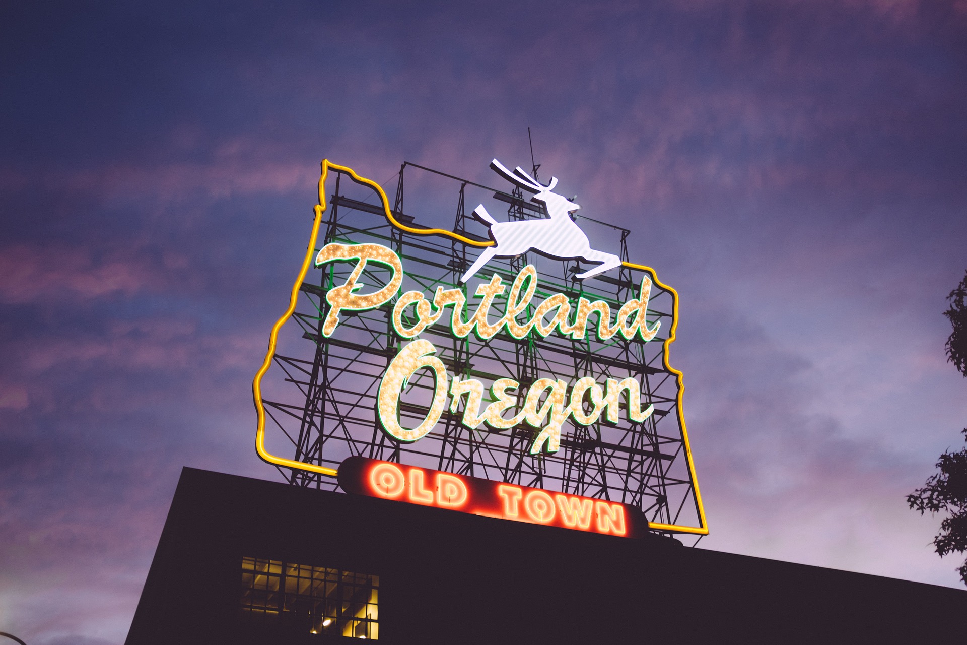 light up portland oregon sign with deer