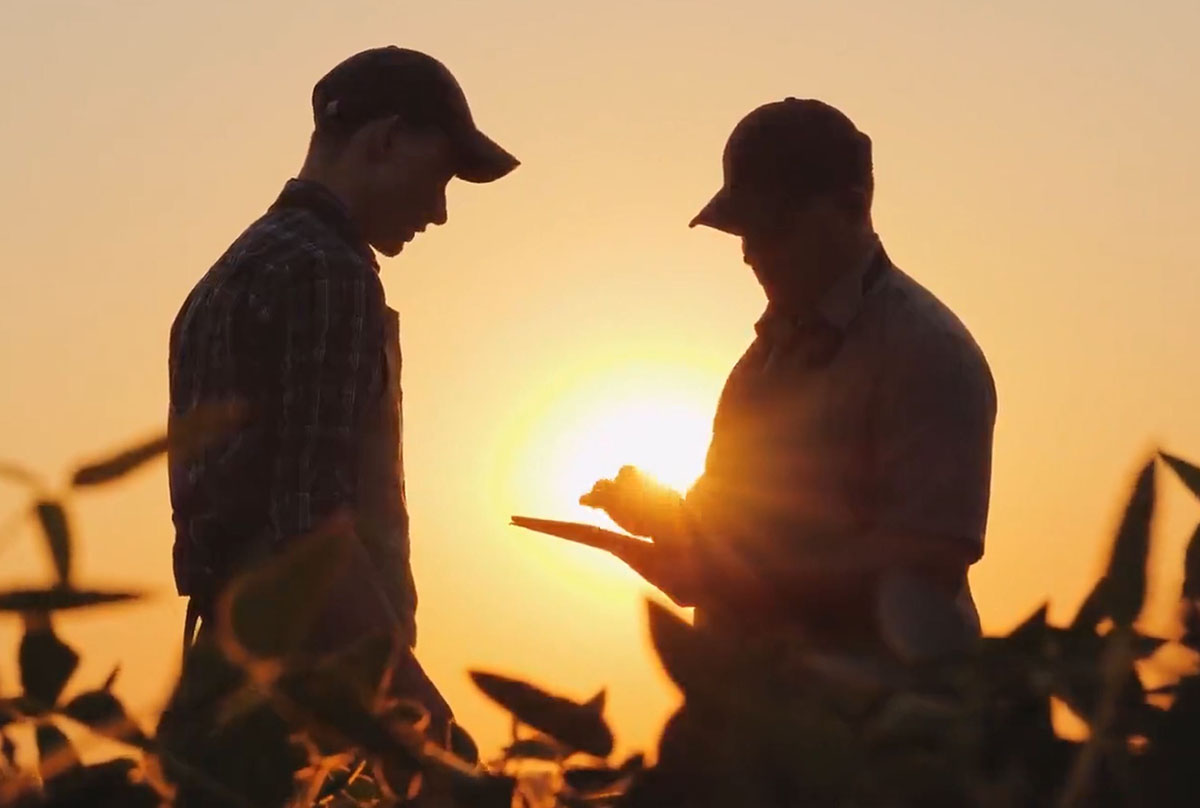Agriculture, farmers talking in a field at sunset