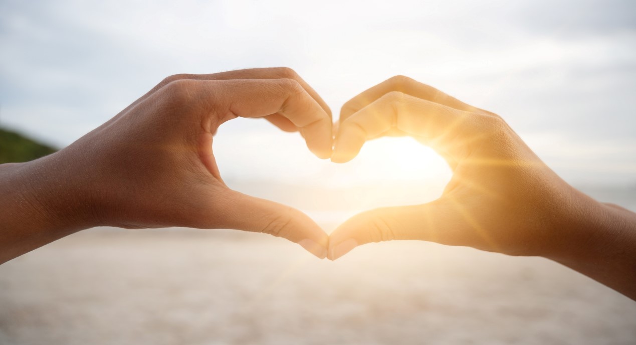 Non-Profit hands in a heart