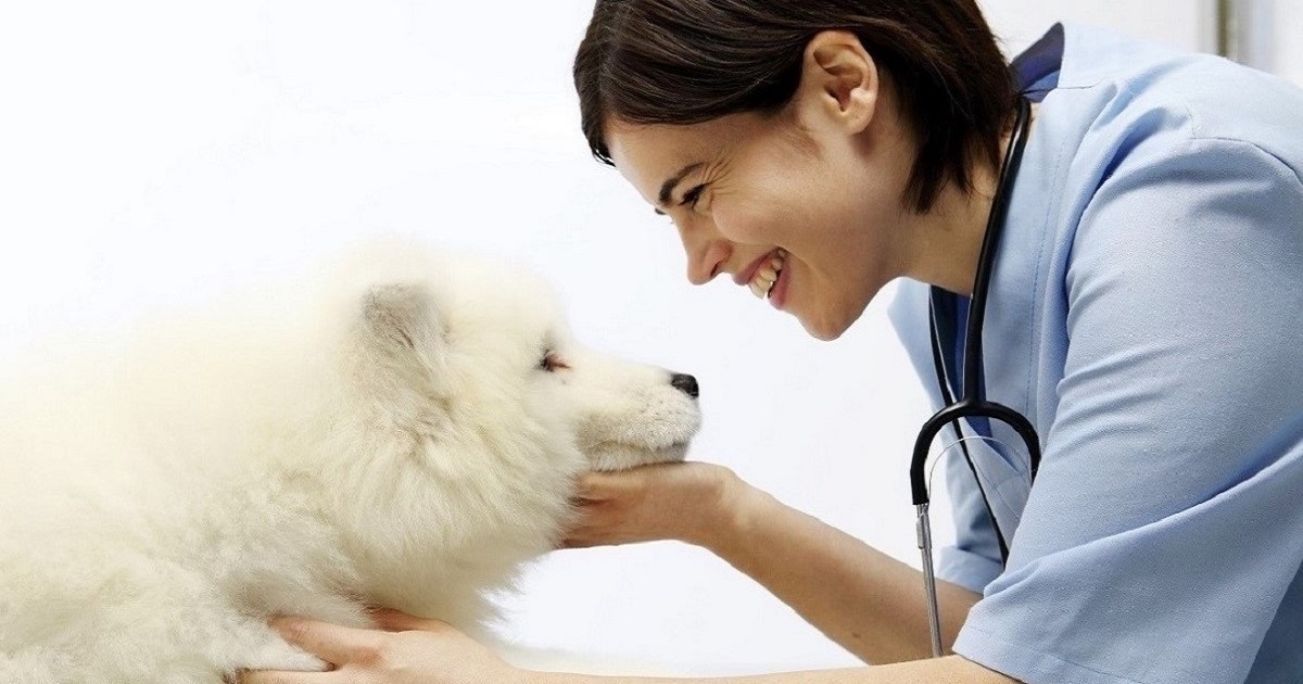 woman smiling and holding dog